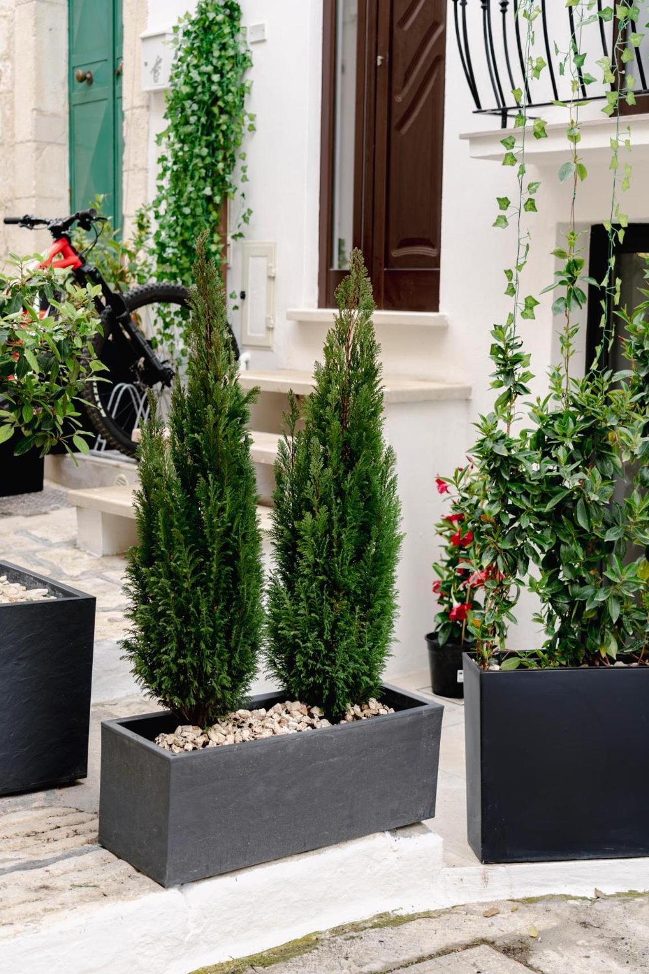 La Maison - Private Wellness Остуни Екстериор снимка